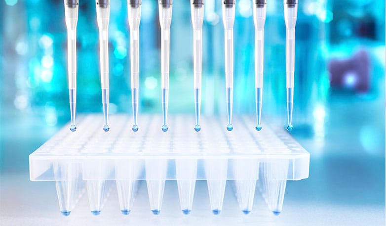 DNA-amplification