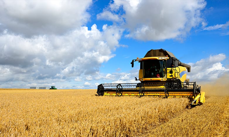 Tractor spraying the green agricultural field