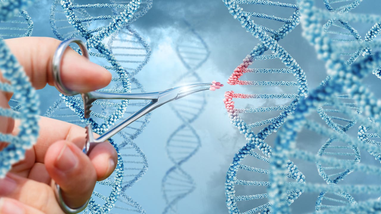 Featured image for Is synthetic biology the answer to personal care’s prayers?